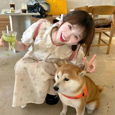 盖世霸王